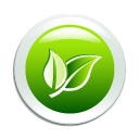 eco-icon